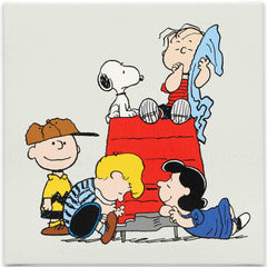 Collection image for: Peanuts & Snoopy