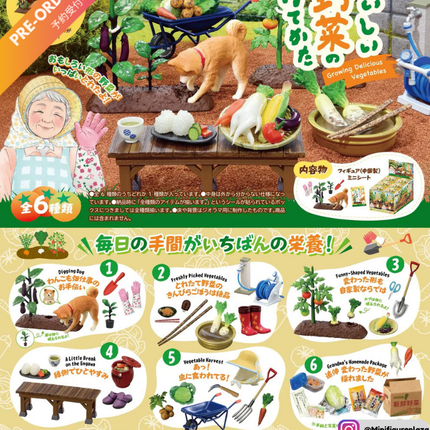 (Pre-order) Re-ment - Growing Delicious Vegetables - Petit Sample Series (Full set of 6) (4521121701431)