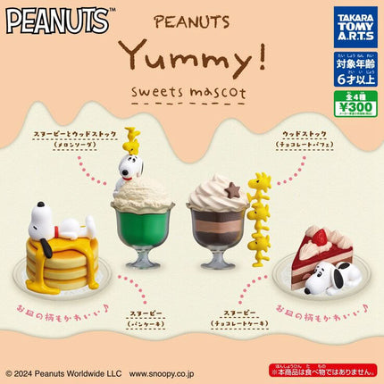 Set of four Snoopy dessert capsule figures on display card