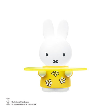 Miffy Storage Tray (Catchall Tray | Trinket Dish) Blind Box