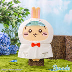 Usagi